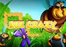 Bee Crazy HD