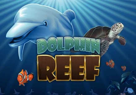 Dolphin Reef